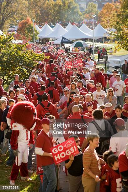 Fans of the Arkansas Razorbacks line the sidewalks to greet the team as it walks to the stadium before a game against the South Carolina Gamecocks at...