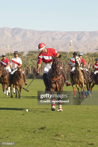 polo player advancing ball - polo mallet photos et images de collection