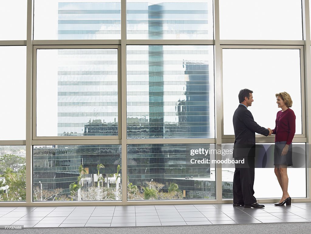 Businessman and Businesswoman Shaking Hands