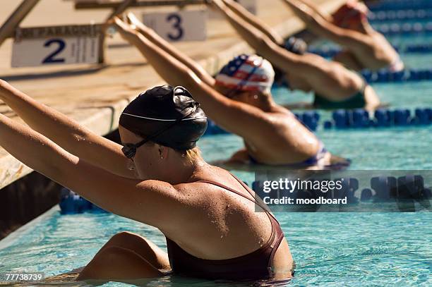 swimmers ready for start of race - swim meet stock pictures, royalty-free photos & images