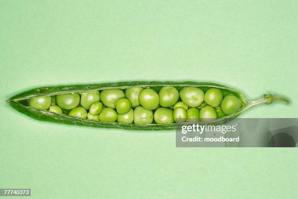 Pea Pod Inner 13,913 Plant Pod Stock Photos, High-Res Pictures, and Images - Getty Images