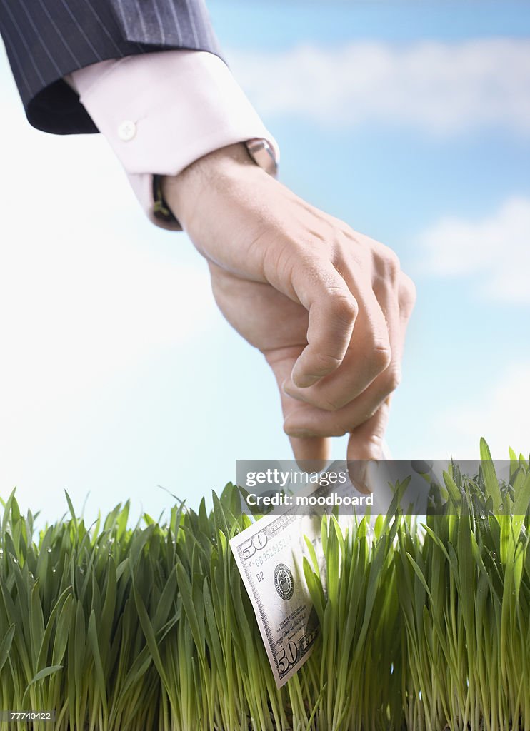 Businessman Picking Up 50-Dollar Bill From Grass