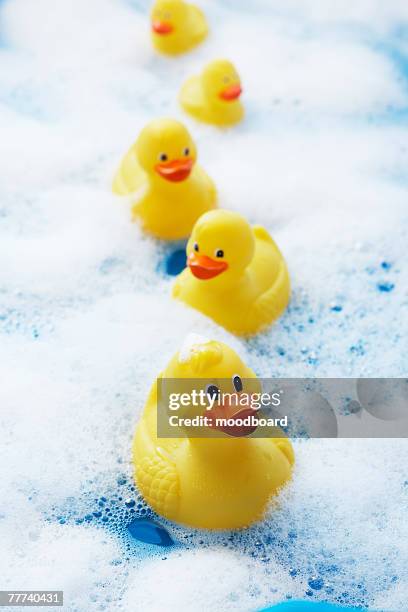 row of rubber ducks in bubble bath - rubber duck stock pictures, royalty-free photos & images