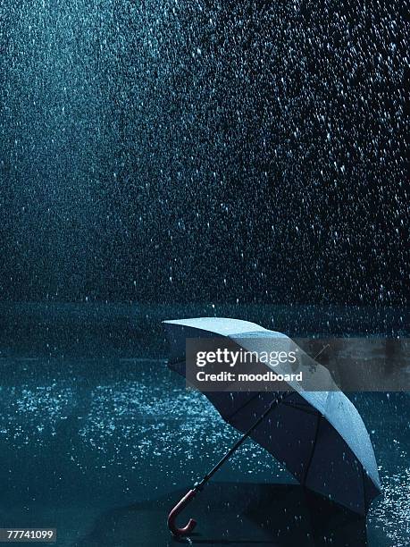 Umbrella Getting Rained On Rain Storm Umbrella Photos and Premium High Res Pictures - Getty Images