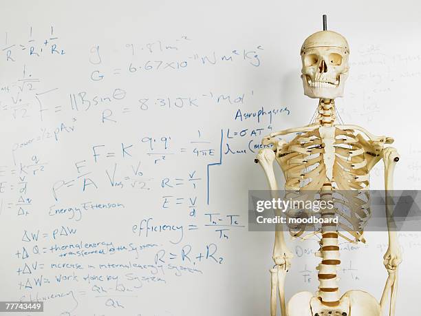 skeleton in front of whiteboard in classroom - funny skeleton stockfoto's en -beelden