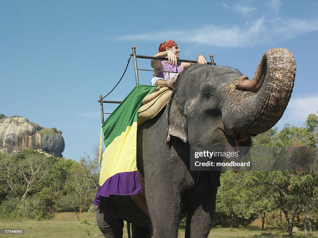 Tourist Riding Elephant