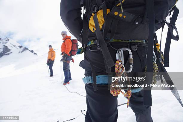 mountaineer's equipment belt - karabiner stock pictures, royalty-free photos & images