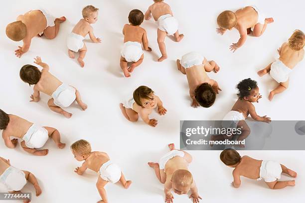 large group of babies - sólo bebés fotografías e imágenes de stock