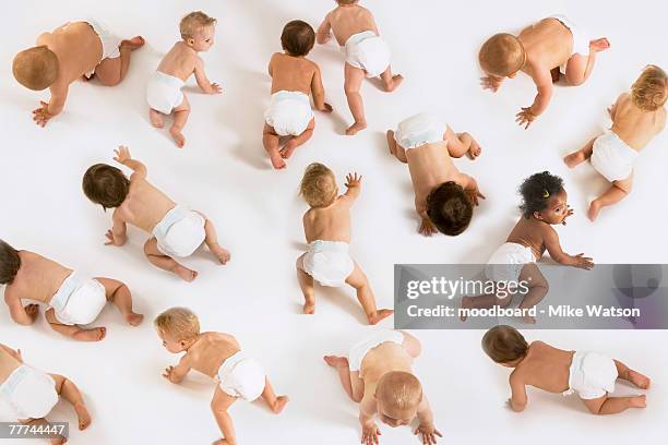 large group of babies - sólo bebés fotografías e imágenes de stock