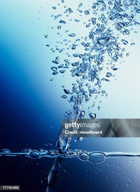 air bubbles shooting upward through water - rising damp stock pictures, royalty-free photos & images