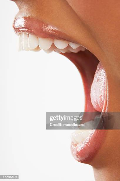 womans mouth yelling - bocca aperta foto e immagini stock