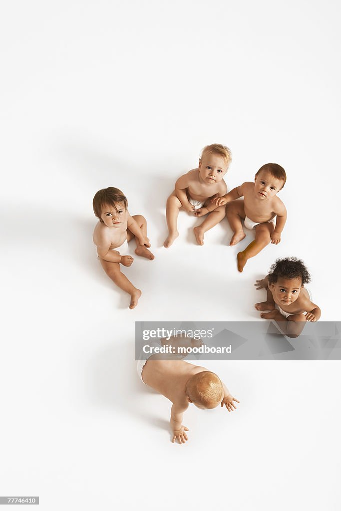 Group of Babies