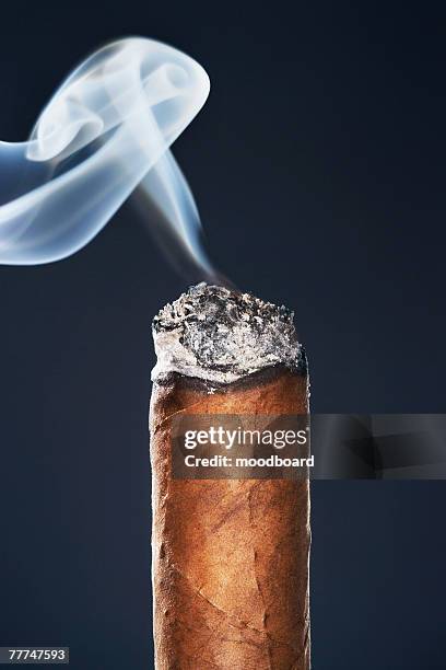 burning cigar - cigar stock-fotos und bilder