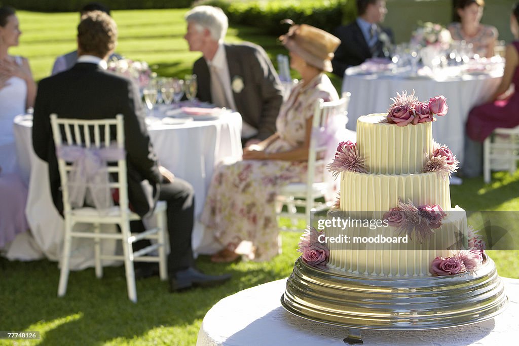 Wedding Cake at Reception