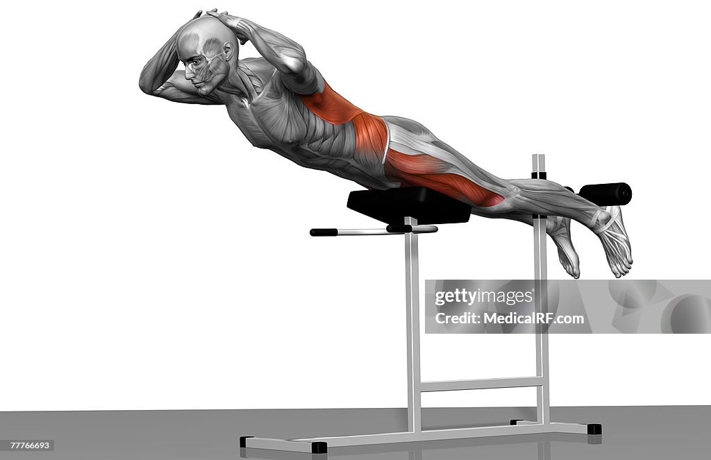 Extention Back Back Extensions High-Res Vector Graphic - Getty Images