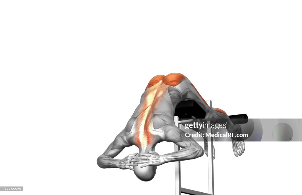 Back extensions (Part 2 of 2)