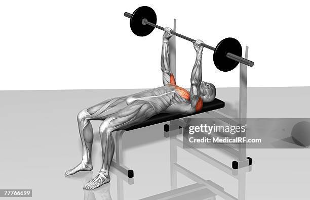 bench press (part 1 of 2) - bench press stock illustrations