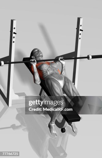 Bench press (Part 2 of 2) Bench press (Part 2 of 2)
