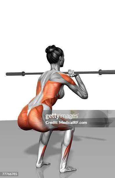 front squat exercise (part 1 of 2) - back stretch stock illustrations