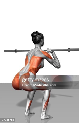 Front squat exercise (Part 1 of 2) Front squat exercise (Part 1 of 2)