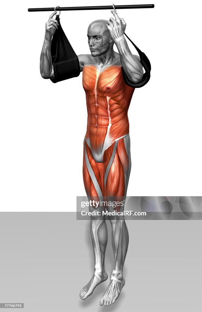 Hanging leg raises (Part 2 of 2)