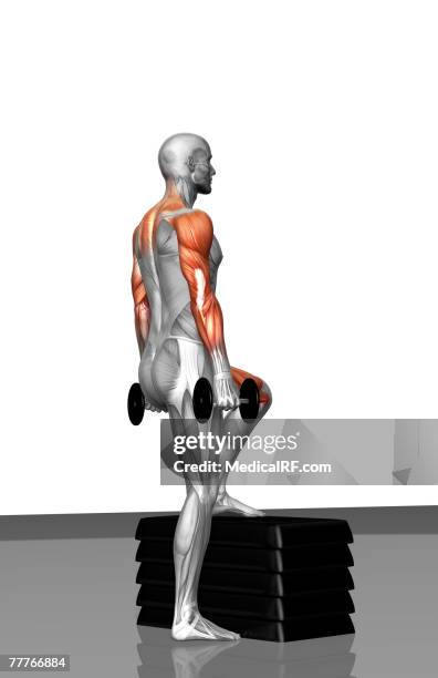 dumbbell step-up exercise (part 2 of 2) - step exercise stock illustrations