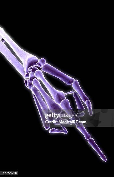 Getty Hand Sign Hand Gesture High-Res Vector Graphic - Getty Images