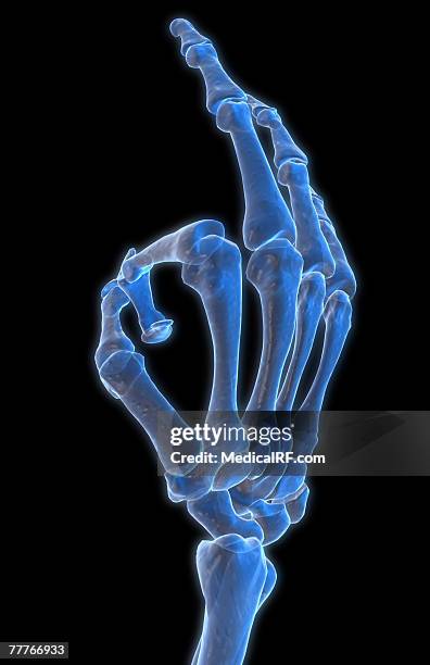 Getty Hand Sign Hand Gesture High-Res Vector Graphic - Getty Images