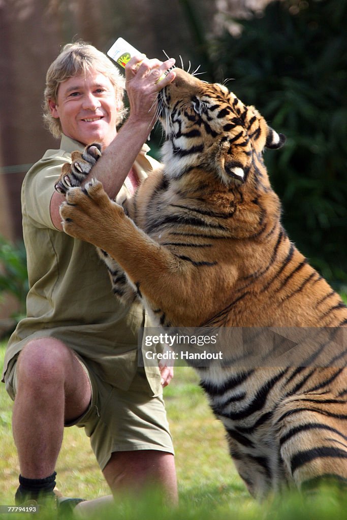 Australia Zoo Imagery