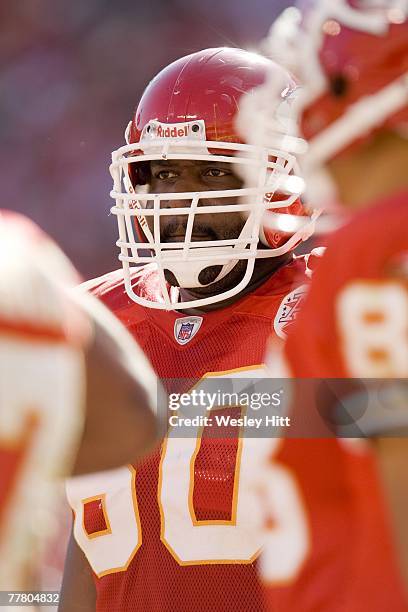 Chris Terry of the Kansas City Chiefs during a game against the Green Bay Packers at Arrowhead Stadium on November 4, 2007 in Kansas City, Missouri....