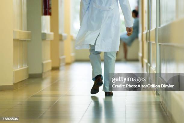 male doctor walking in hospital corridor, cropped rear view - camice da medico foto e immagini stock