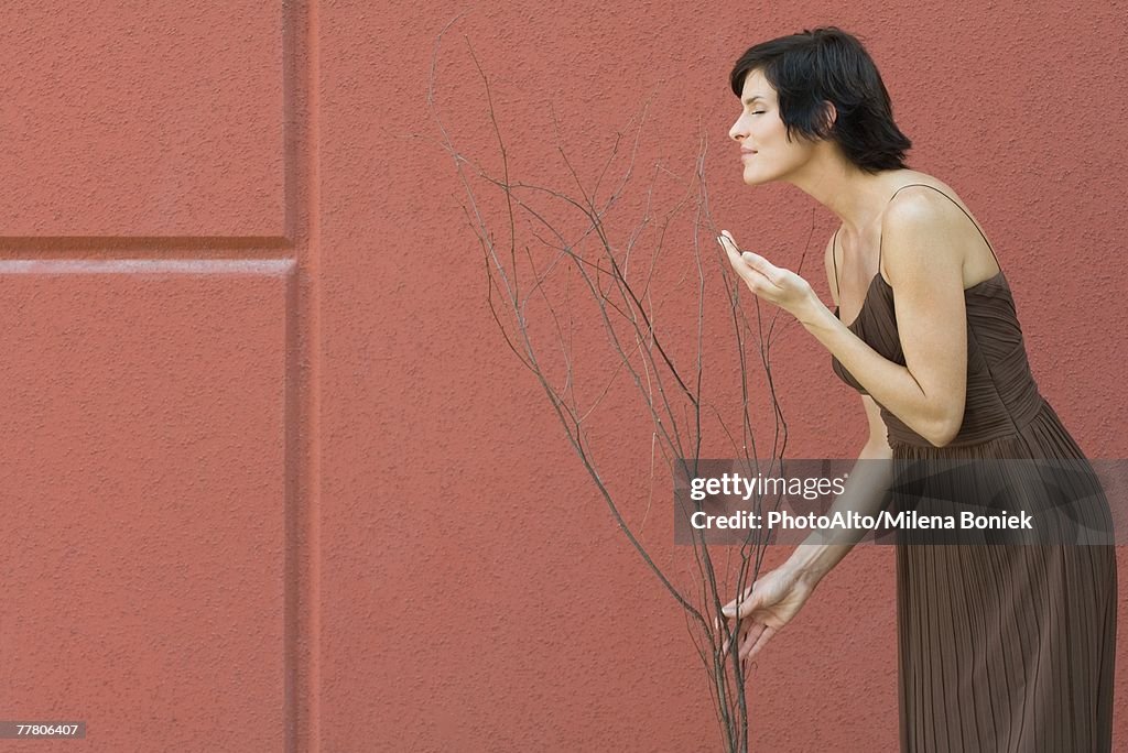 Brunette woman touching and smelling bare sapling, red wall in background, side view, three quarter length