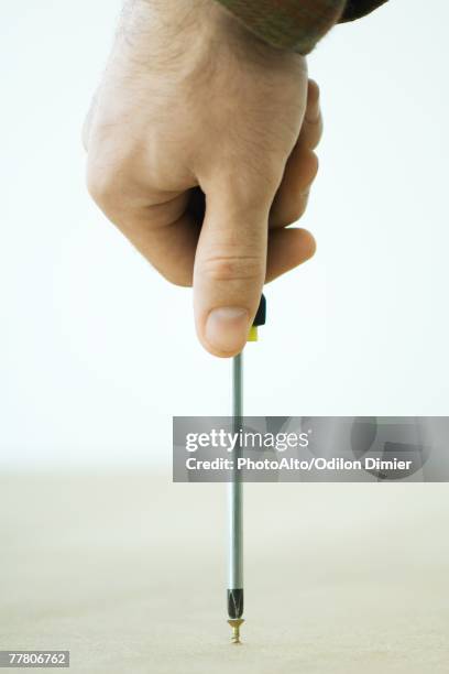 Person Holding Screw Driver Photos and Premium High Res Pictures ...
