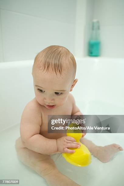 naked baby sitting in bathtub, holding rubber duck - sitting duck stock pictures, royalty-free photos & images