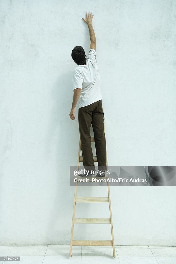 Man standing on ladder, arm raised, rear view