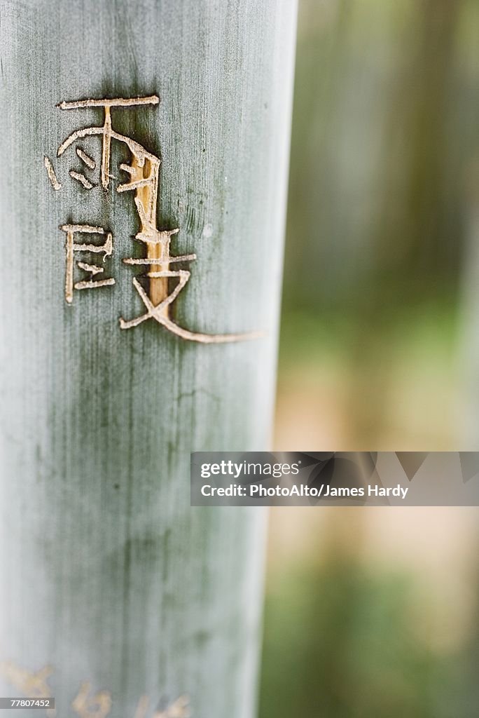 Chinese characters carved into bamboo, close-up