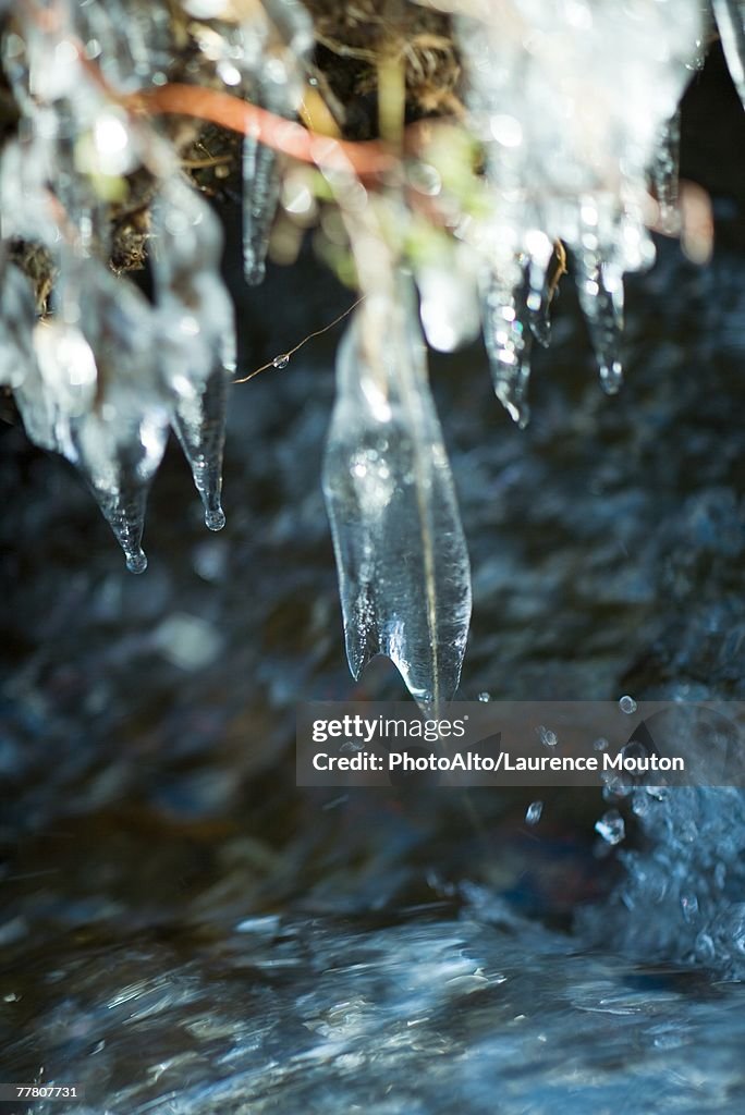 Icicles hanging over stream, extreme close-up