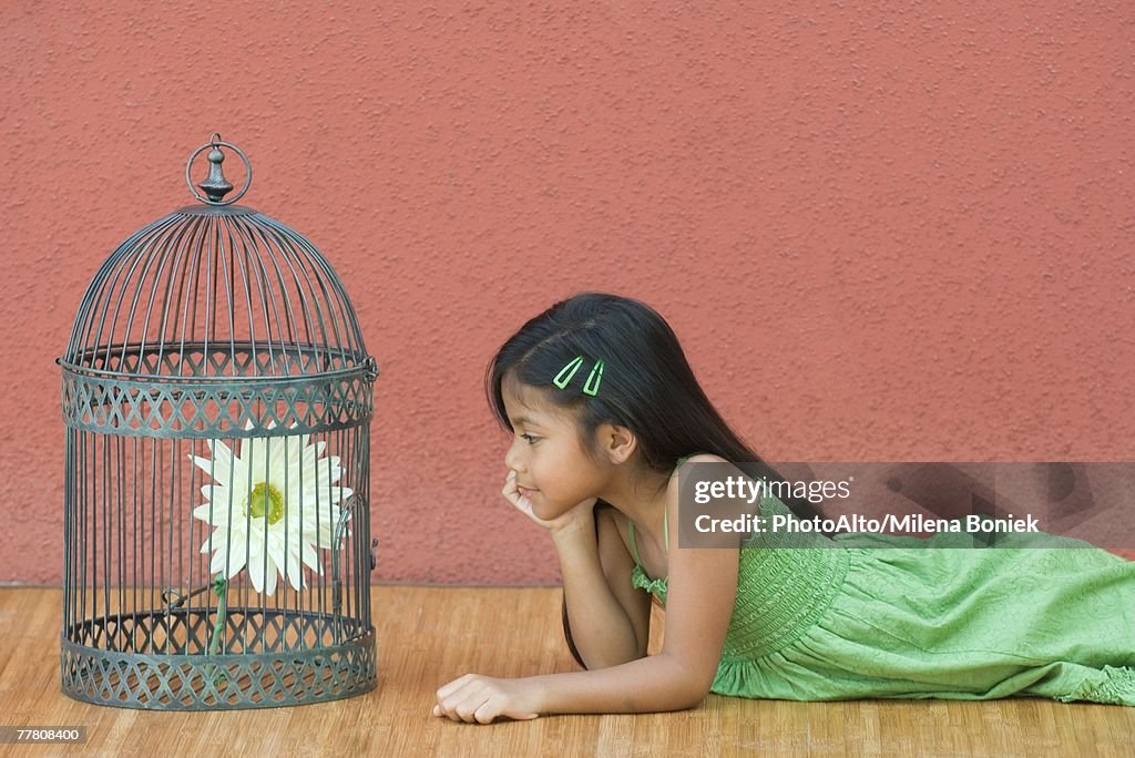 Girl lying on floor, looking at flower in birdcage, side view