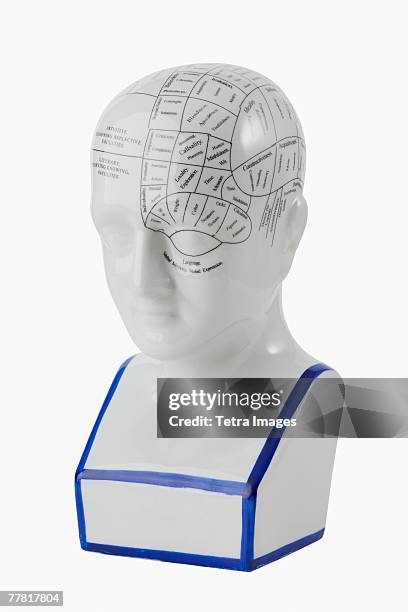 close up of phrenology head diagram - phrenologie stock-fotos und bilder