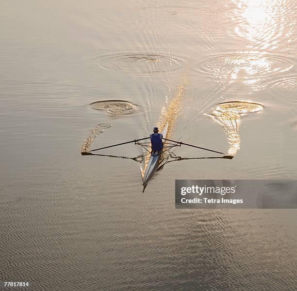 high angle view of person sculling - sculling stock-fotos und bilder