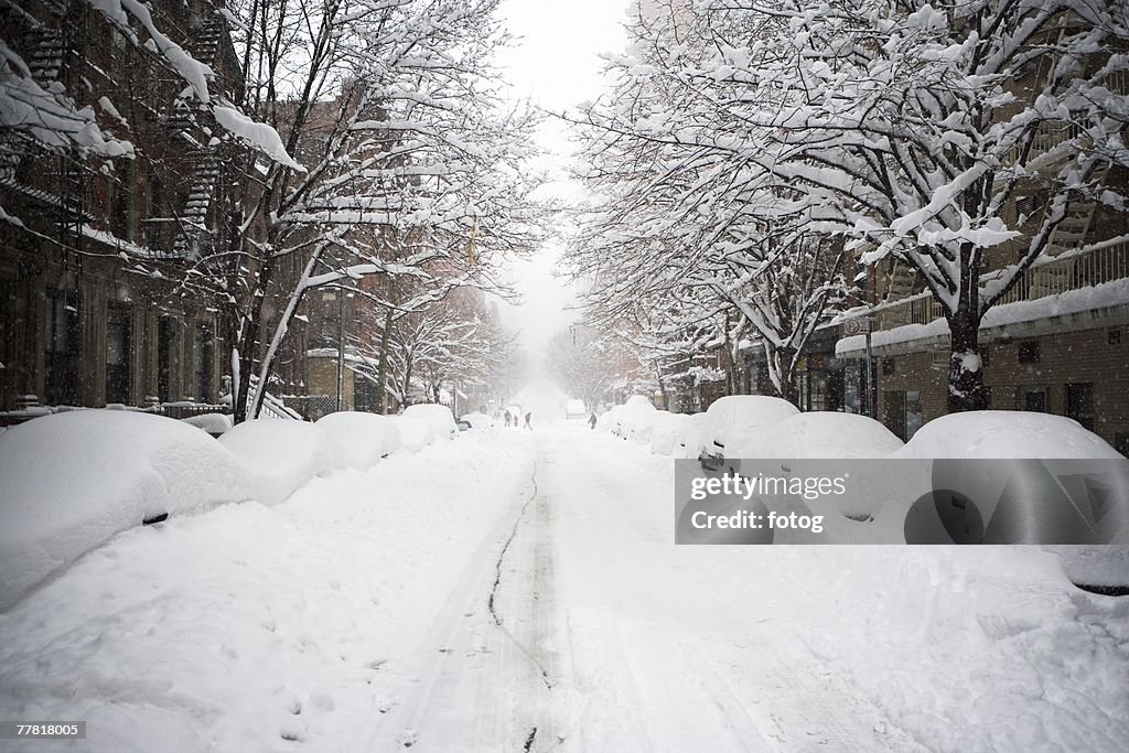 Snow covered street, New York City