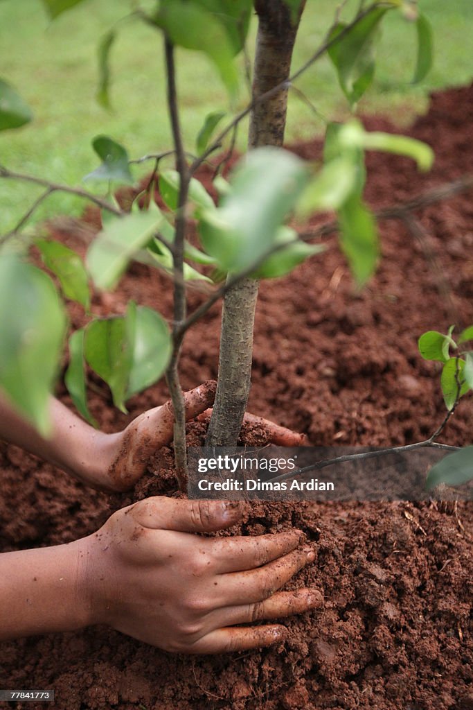 Bike To Work Group Members Conduct Tree Planting Program