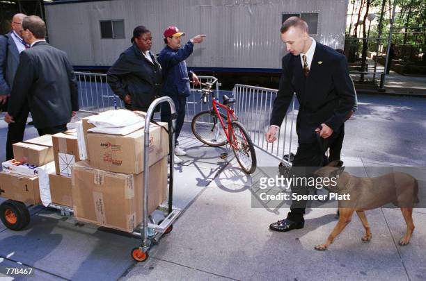 Security dogs check all arriving packages going into the United Nations building September 5, 2000 in Manhattan's Dag Hammarskjold Plaza in New York...