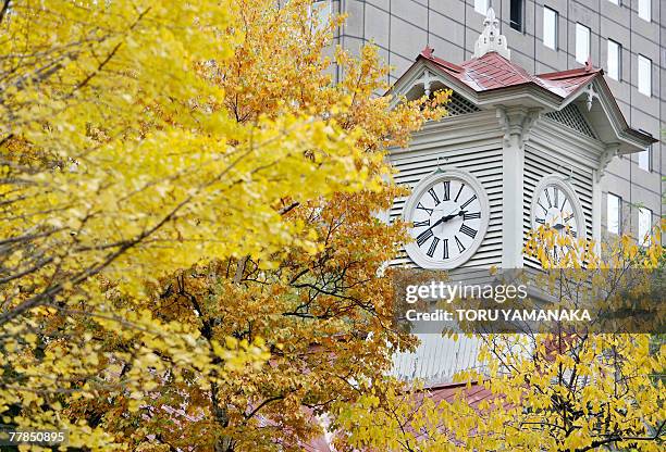 The Sapporo Clock Tower, one of landmark and sightseeing spot, is seen behind threes' yellow leaves in Sapporo, 12 November 2007. Winter will come...