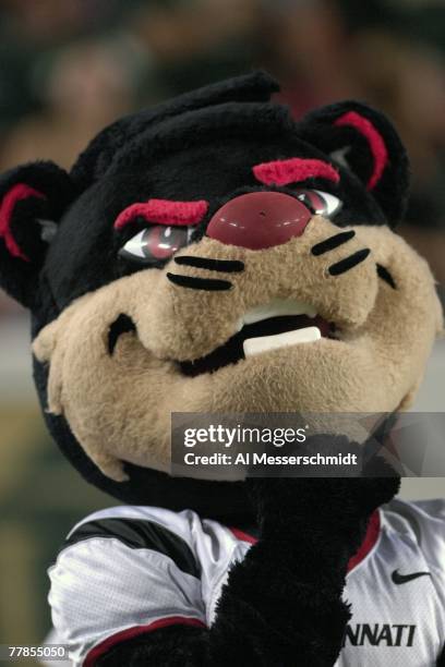 The mascot of the Cincinnati Bearcats watches play against the University of South Florida Bulls at Raymond James Stadium on November 3, 2007 in...