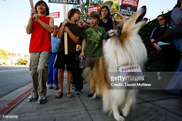 Lulu, a film acting collie related to the original Lassie of the eponymous Disney show, barks while children out of school for Veterans Day chant...