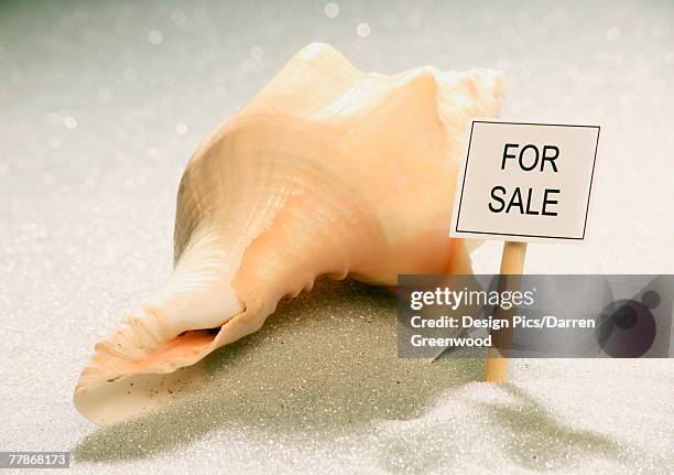 Seashell Shop Sign 153 For Sale Sign Beach Stock Photos, High-Res Pictures, and Images ...