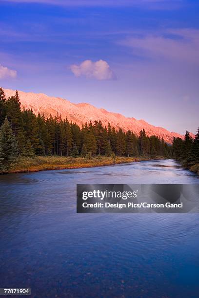 Elk Riser 124 Elk River British Columbia Stock Photos, High-Res Pictures, and ...