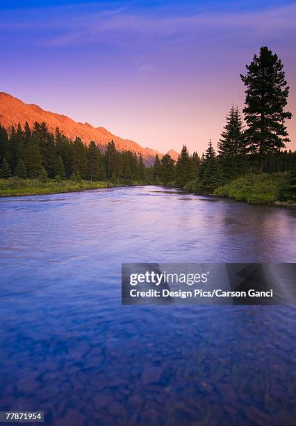 Elk Riser Elk River British Columbia Photos and Premium High Res Pictures - Getty ...