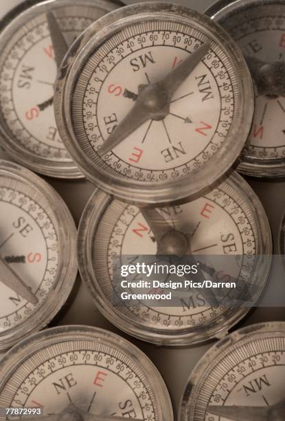 161 Confused Compass Stock Photos, High-Res Pictures, and Images ...